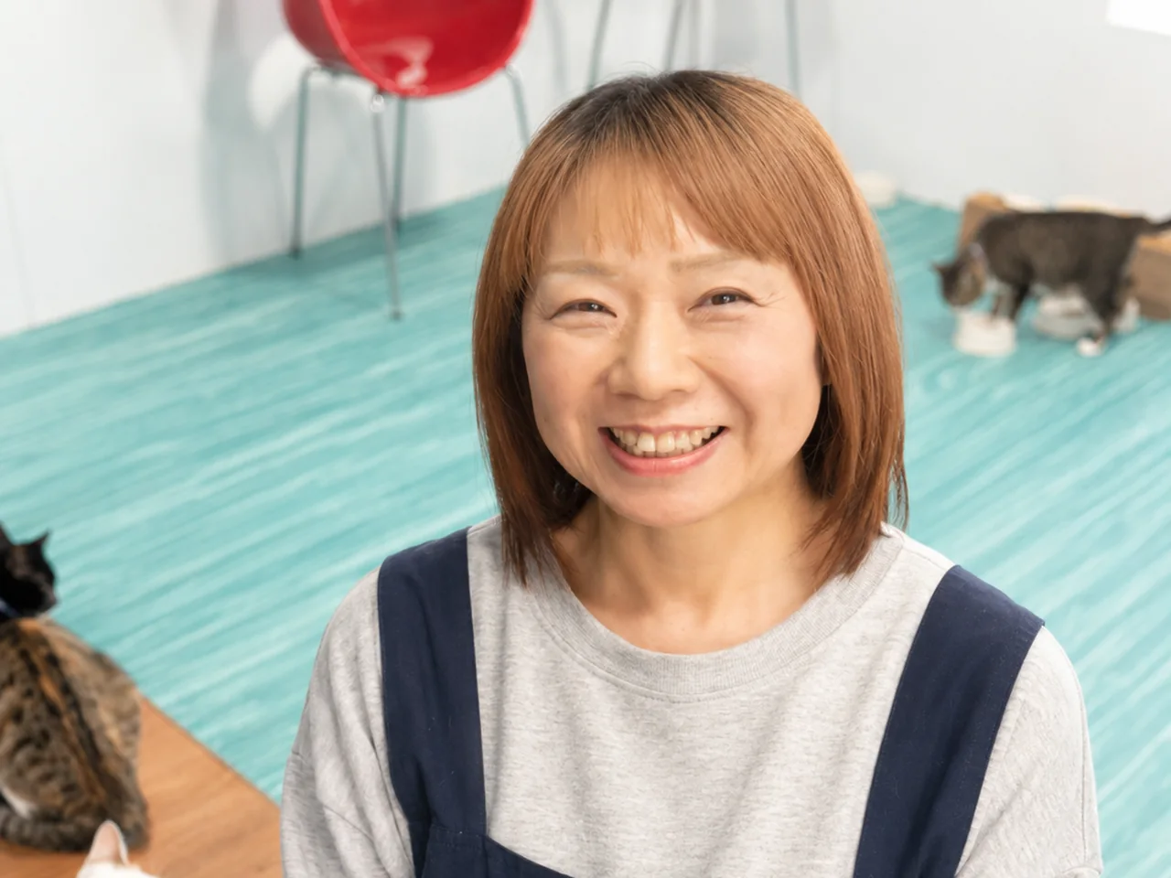猫たちに囲まれて微笑む、ぷここん家の運営者